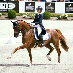 LA Dressage AB